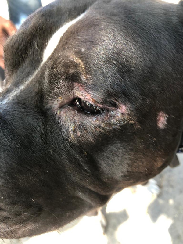 WhatsApp Image 2022-08-11 at 11.09.02 (1)