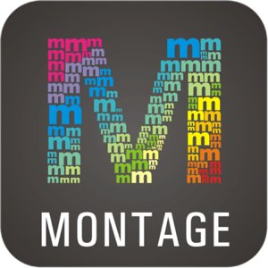 WidsMob Montage 1.21 MAS