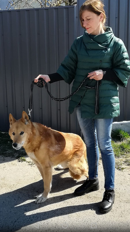 изображение_viber_2020-04-23_13-59-24