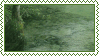 pond