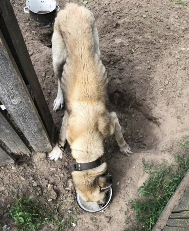 96AE2EE3-54B0-4CA8-BF04-0CE94A9407E9