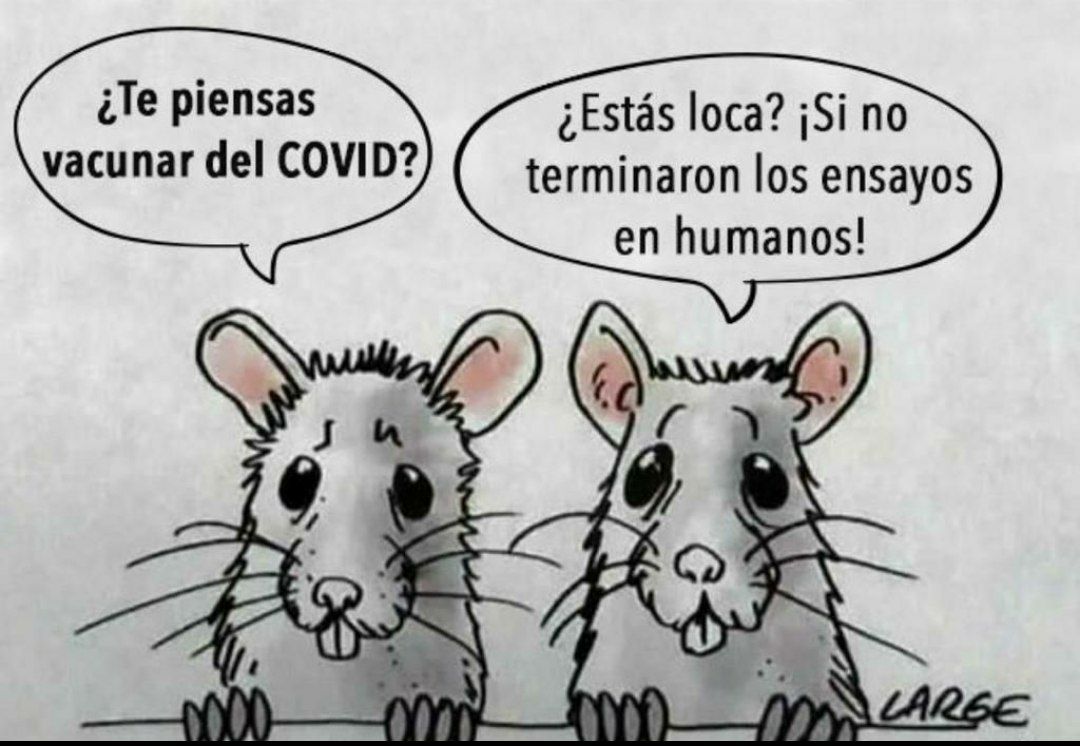 IMG_20201208_202412_962