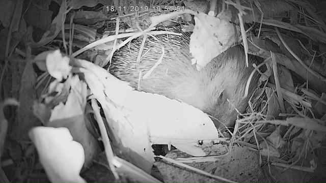 84F648A9-DFCE-432A-9CCF-8E64BA12E985