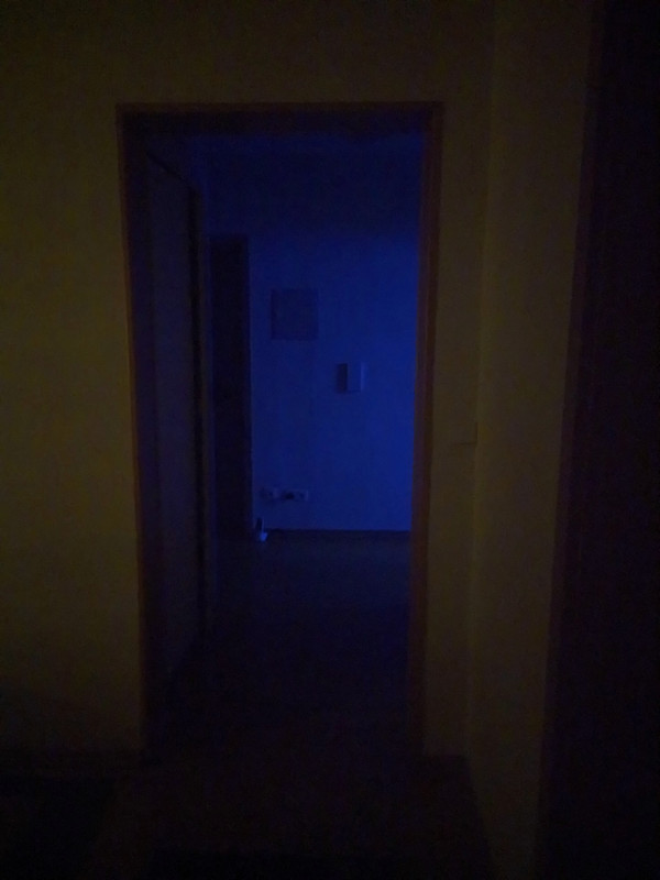 IMG_20211225_001811_tigr