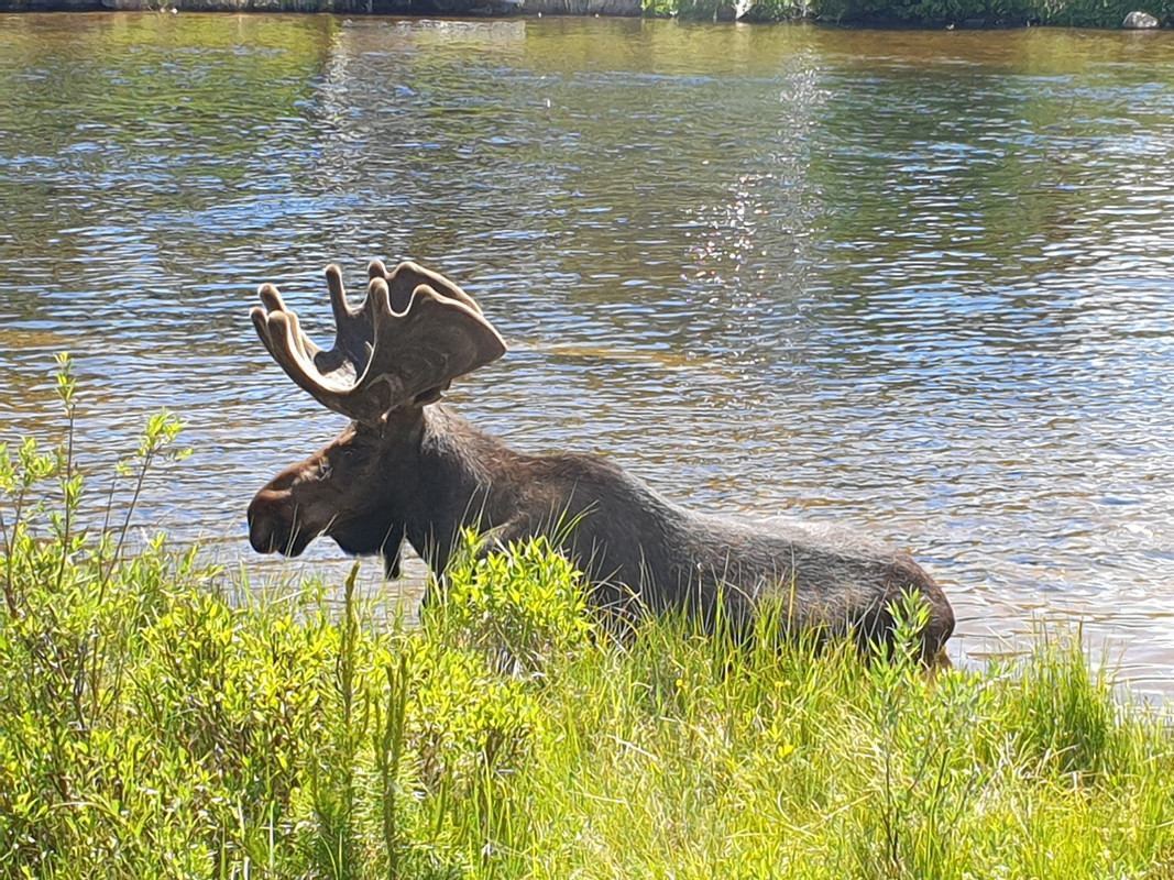 20190703_144407