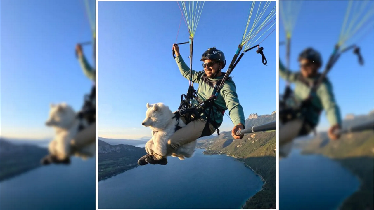 Joven salta con su perro en parapente y le llueven críticas en redes sociales