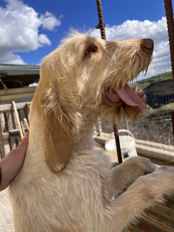 FB0AA577-7AEC-438B-85F0-5C54D7E39E27