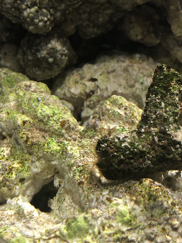 C01CE081-7D91-4A4F-9C0B-9EF05E77BC3C