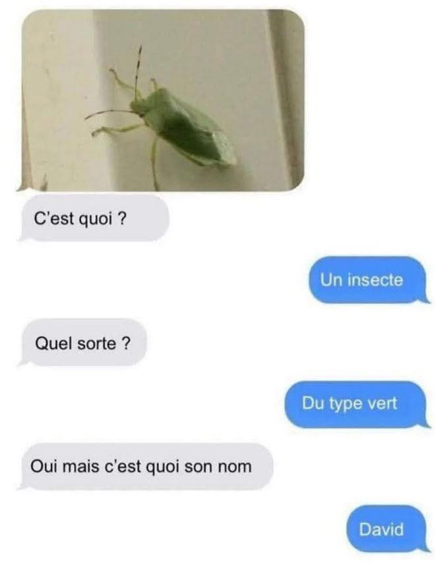 WhatsApp Image 2025-04-23 at 15.37.45 (4)