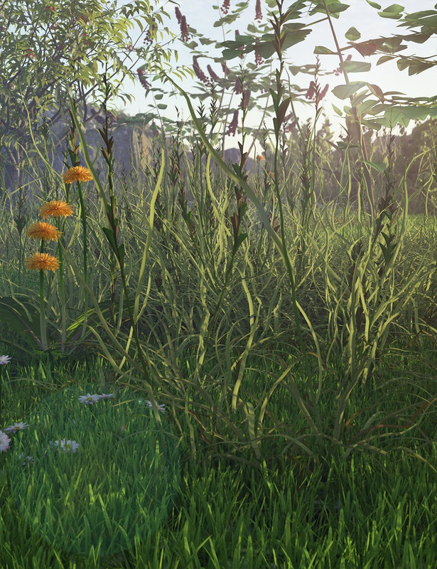 Simply Grass - The Rough Stuff Simply Grass - The Rough Stuff