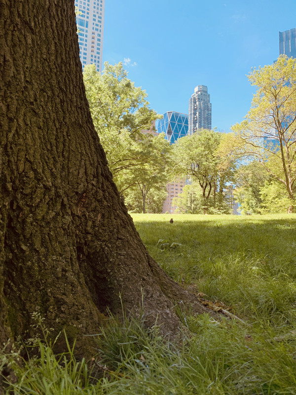 D641724D-8470-428D-87FD-605EBC813676