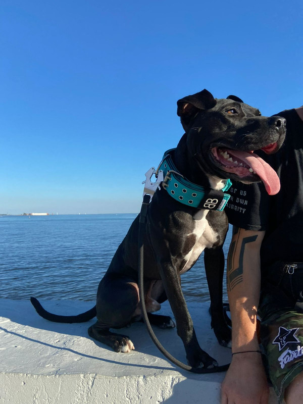 21679E99-24C7-4A60-B09F-FACE16208F21