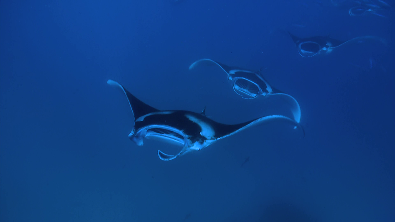 vlcsnap-2023-02-12-17h01m20s358