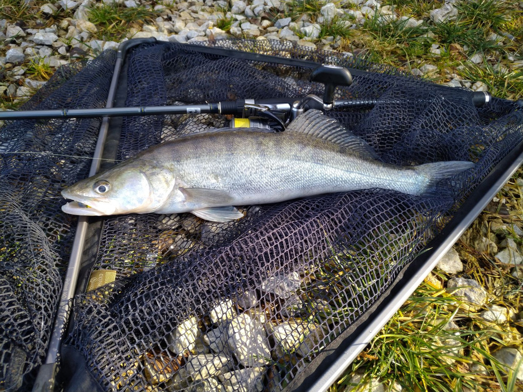 IMG_20220218_134701-1