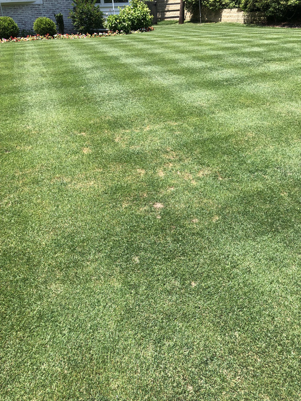 3968CF2D-C1E9-4749-903B-2D16A48EC3A6