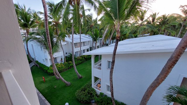 DIA 2 – HOTEL RIU BAMBU Y PARQUE ACUATICO - Hotel RIU Bambú + Isla Saona + RIU Party (2)