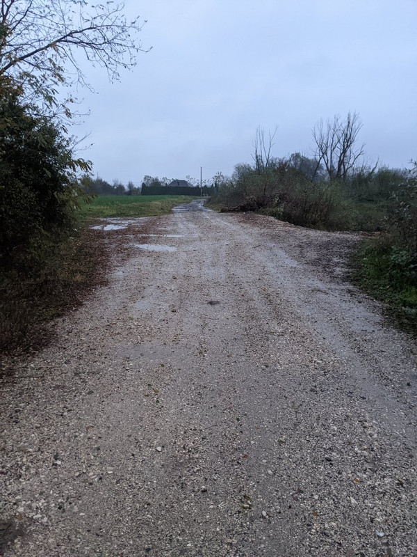 PXL_20221105_153412482