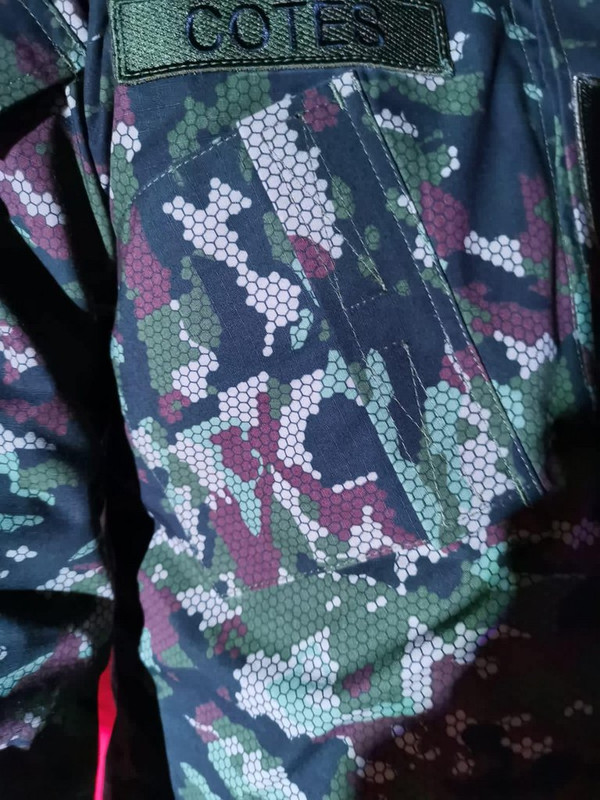 Proyecto Camaleón Bicentenario010