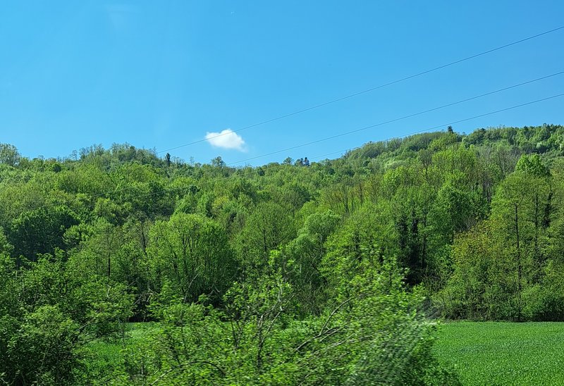 Slika