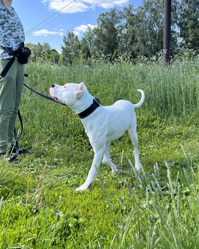 61BDC6F5-D213-4768-B453-FD4D25AEDE6A