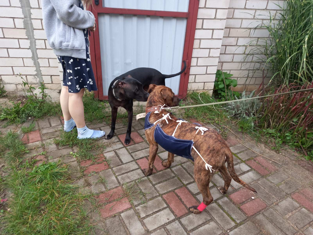 36C84474-958E-429E-832F-5FF559AE540F