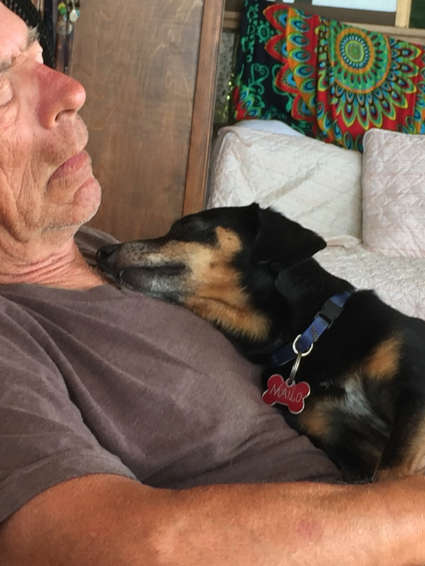 E37FD08F-37C5-48EA-BEF1-F9267B8BD77D