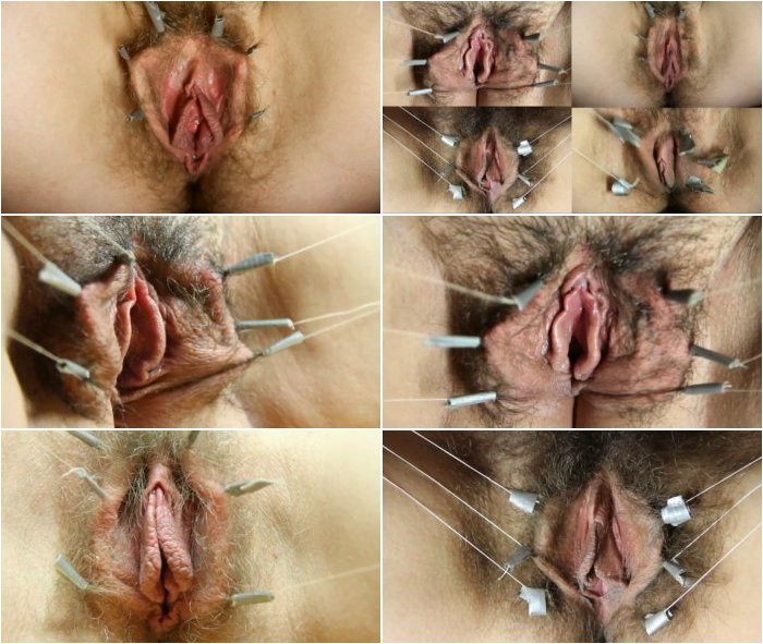 Singing-pussies-3.jpg