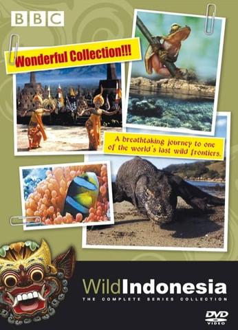 [Kép: Wild-Indonesia.jpg]