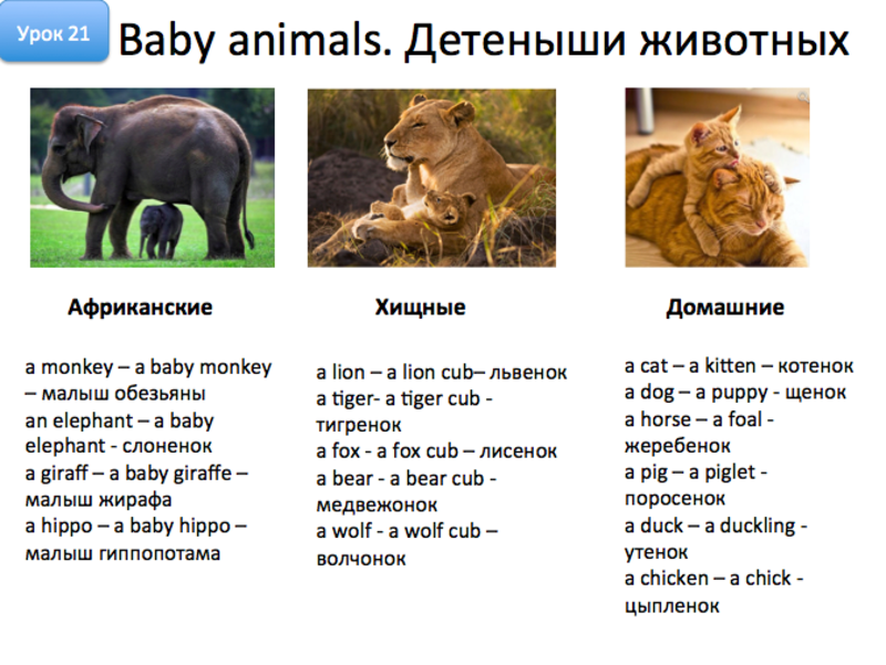 Снимок экрана 2015-05-03 в 23.30.15