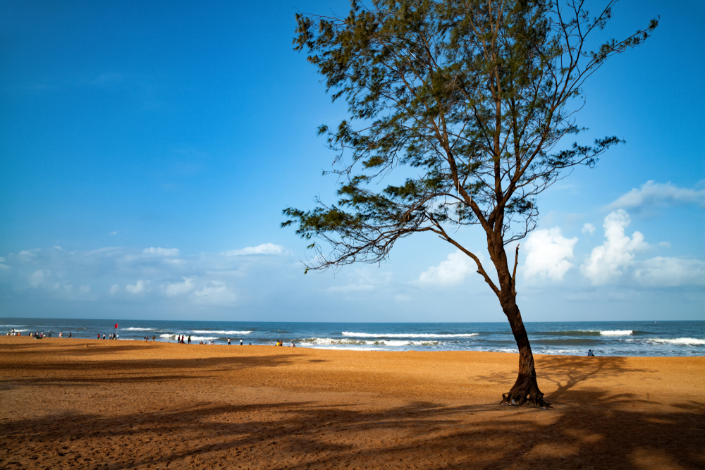 Distance Between Panaji To Calangute Beach Calangute Beach, North Goa: How To Reach, Best Time & Tips
