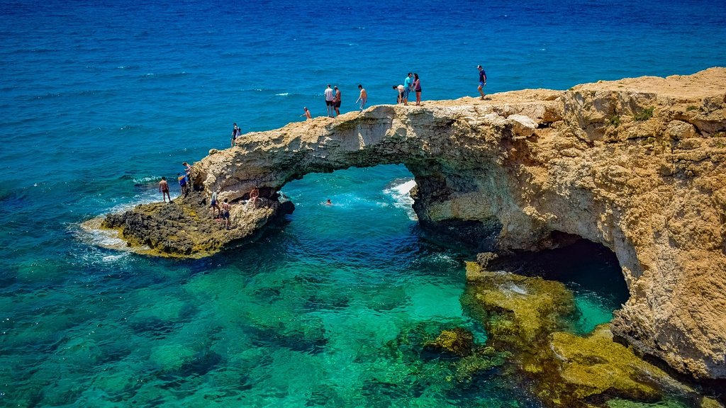 green-cyprus-aya-napa.jpg