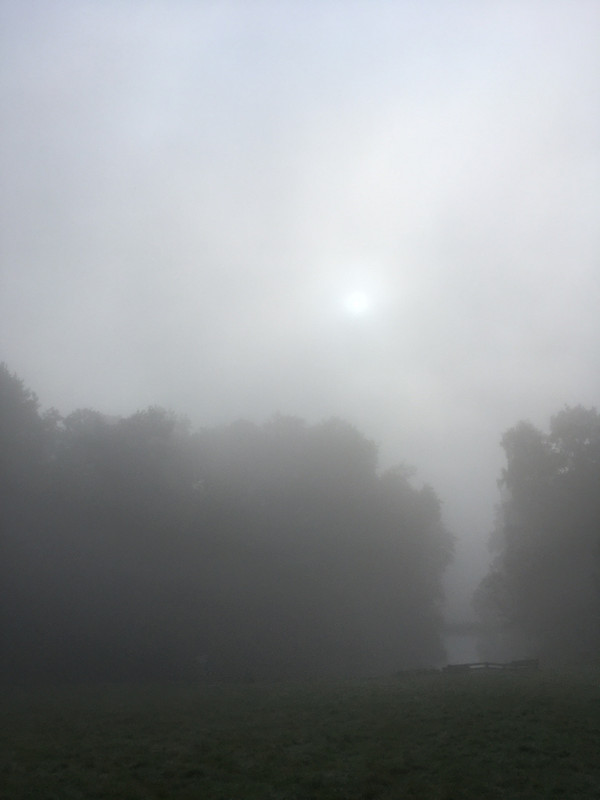 2023-09-09 Mist IMG_2660 (002)