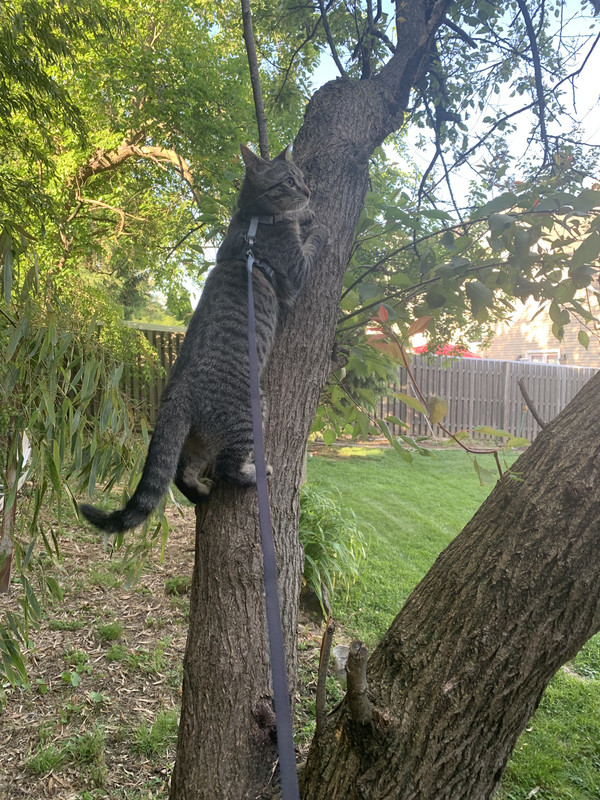 1D08110A-A146-4EDE-975F-5B3A9127A7E5