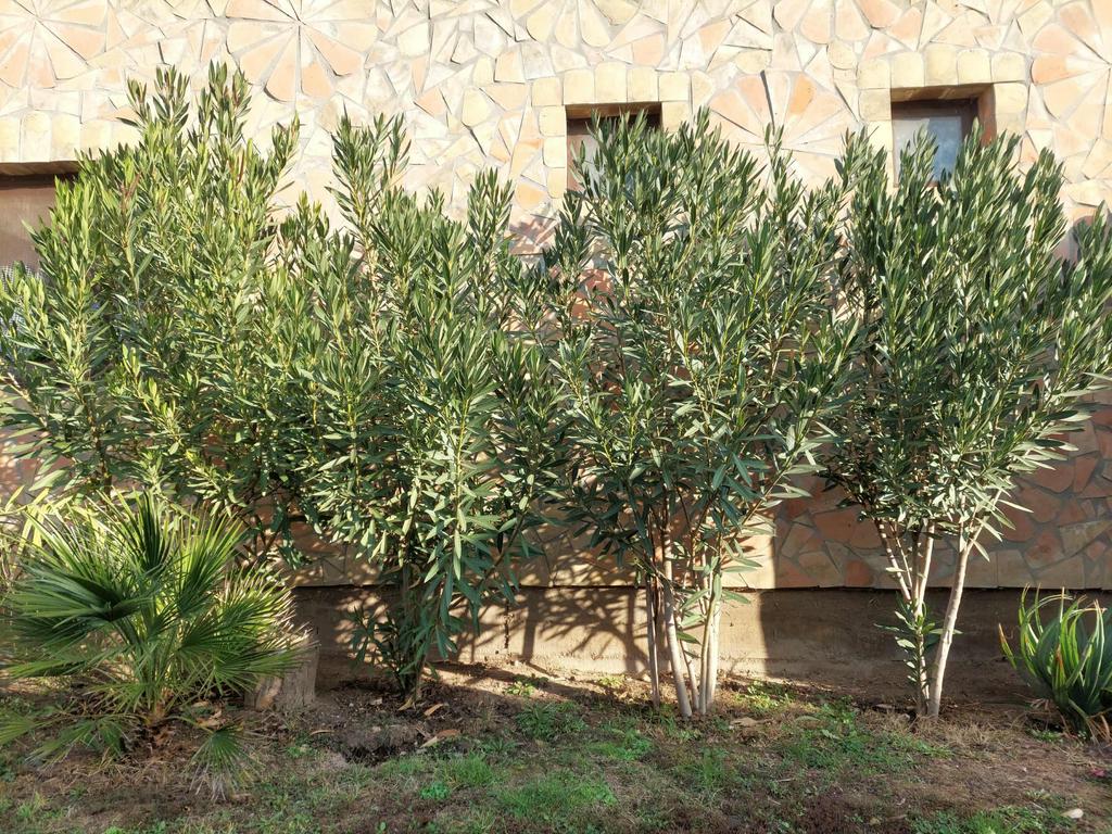 b6b0aa8e 06b7 44ea acc8 3f4f65c38b94