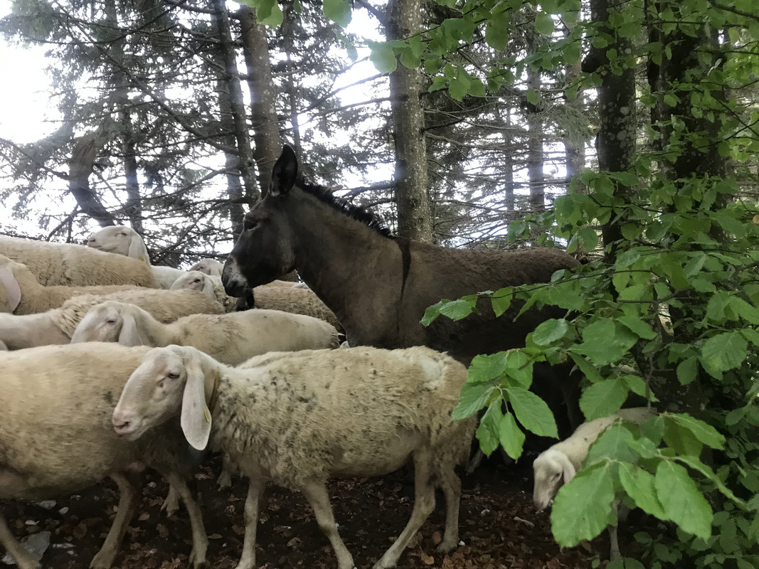 024132FC-E7E3-4B6D-AD63-63B7C9E03556