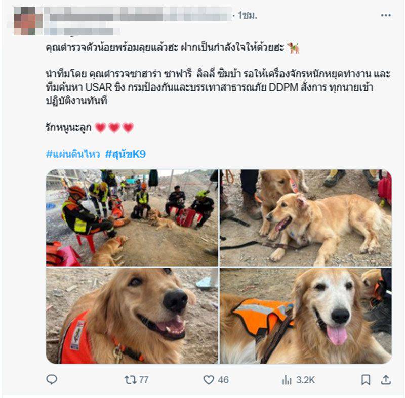 w1200-2025-03-29-T144030-097