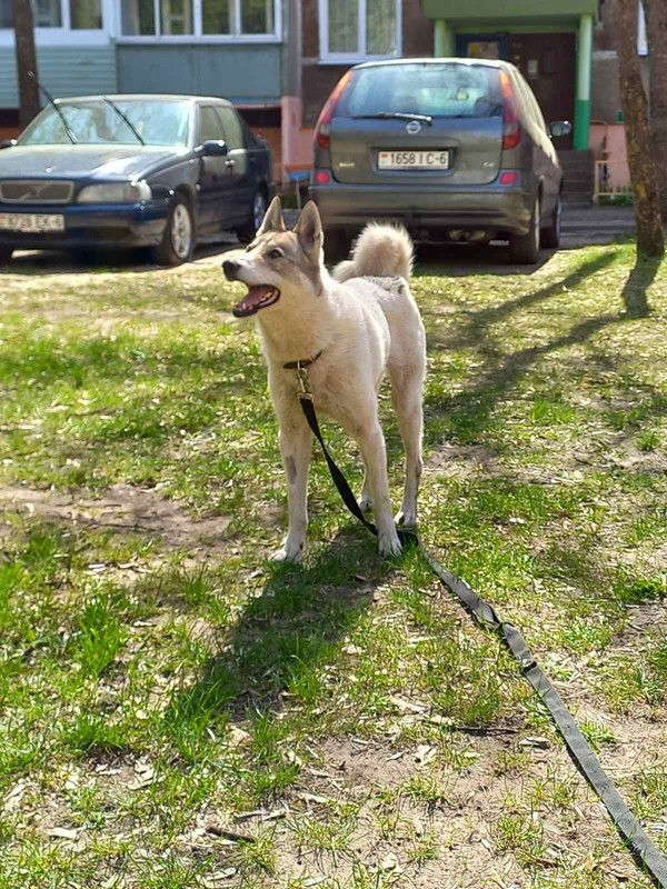 IMG-8cea0dd8577e9862f5dda6abbe588b5d-V