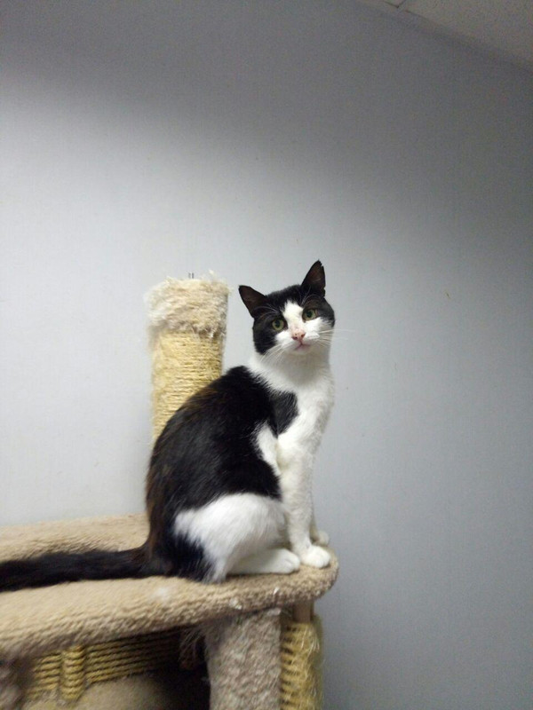 photo_2018-09-25_22-30-43 (2)