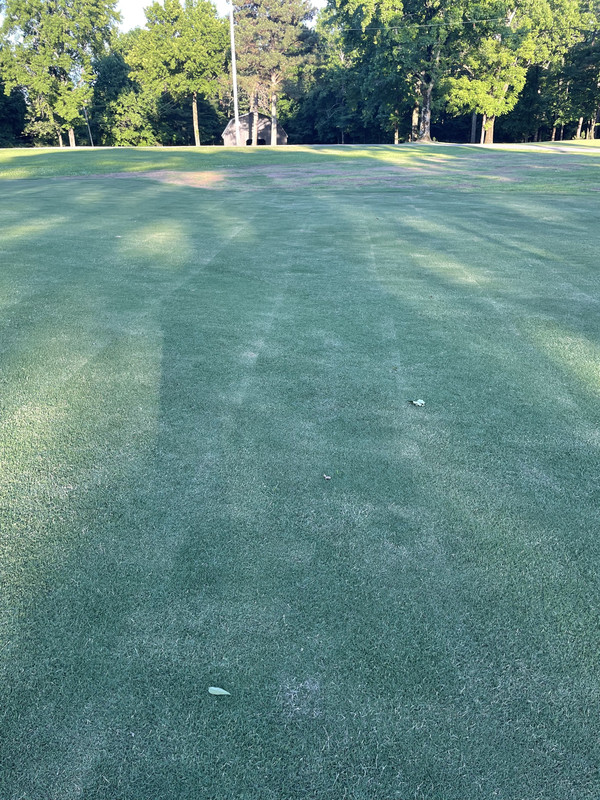 00FDC3C2-FD18-4DD3-A04E-6FD27DD158E6