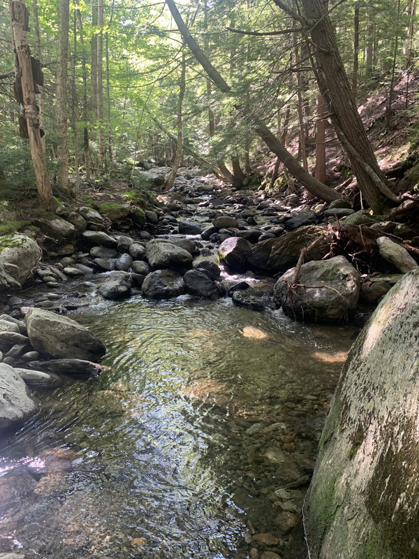 DF596046-A315-432B-9CE7-4639E6ACE9EB