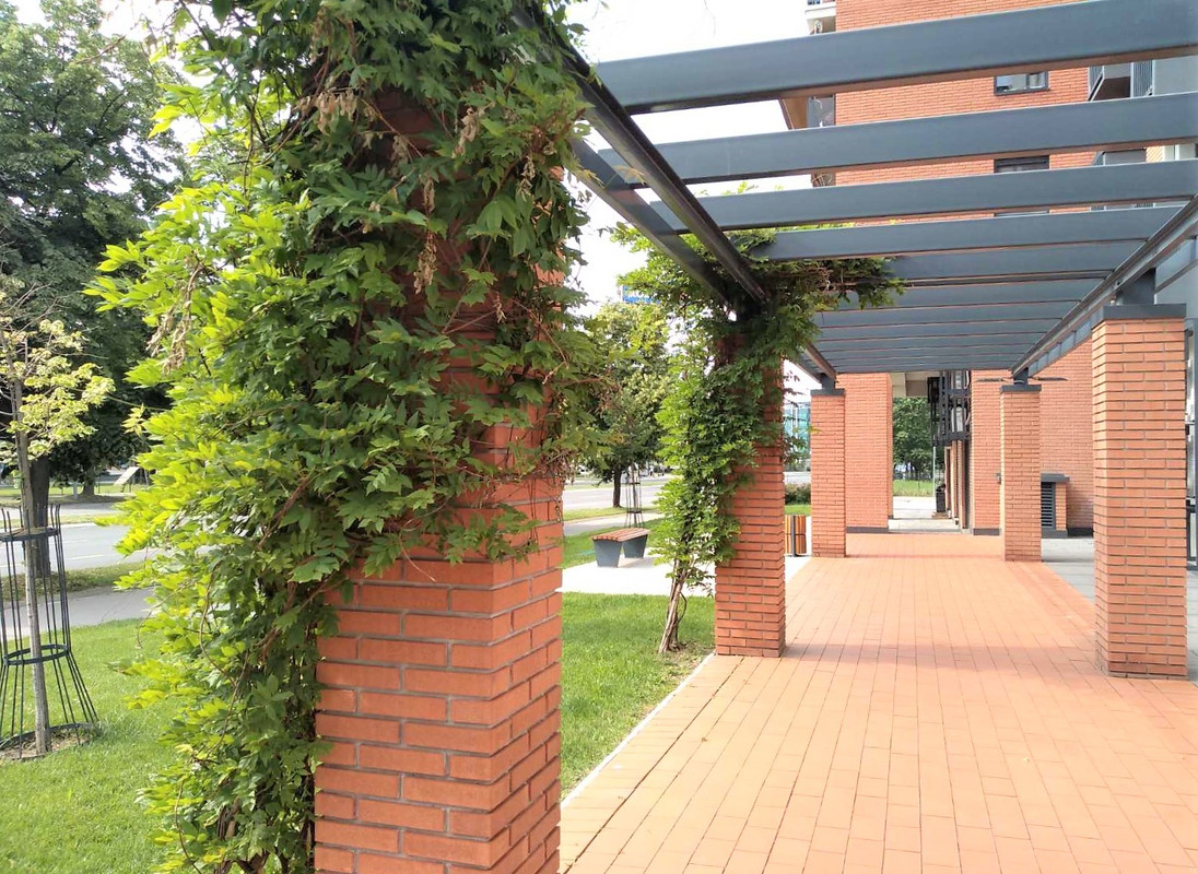 Савада5 2020-06-09