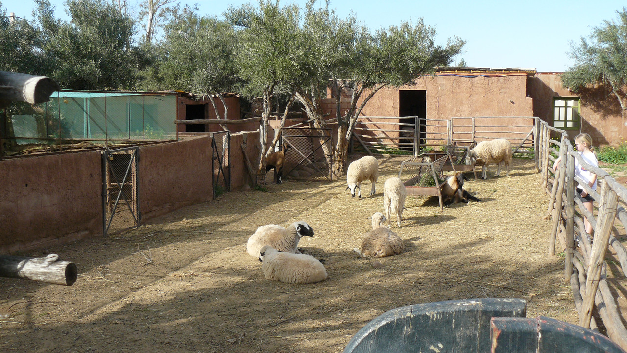 [Obrazek: P1120563.jpg]