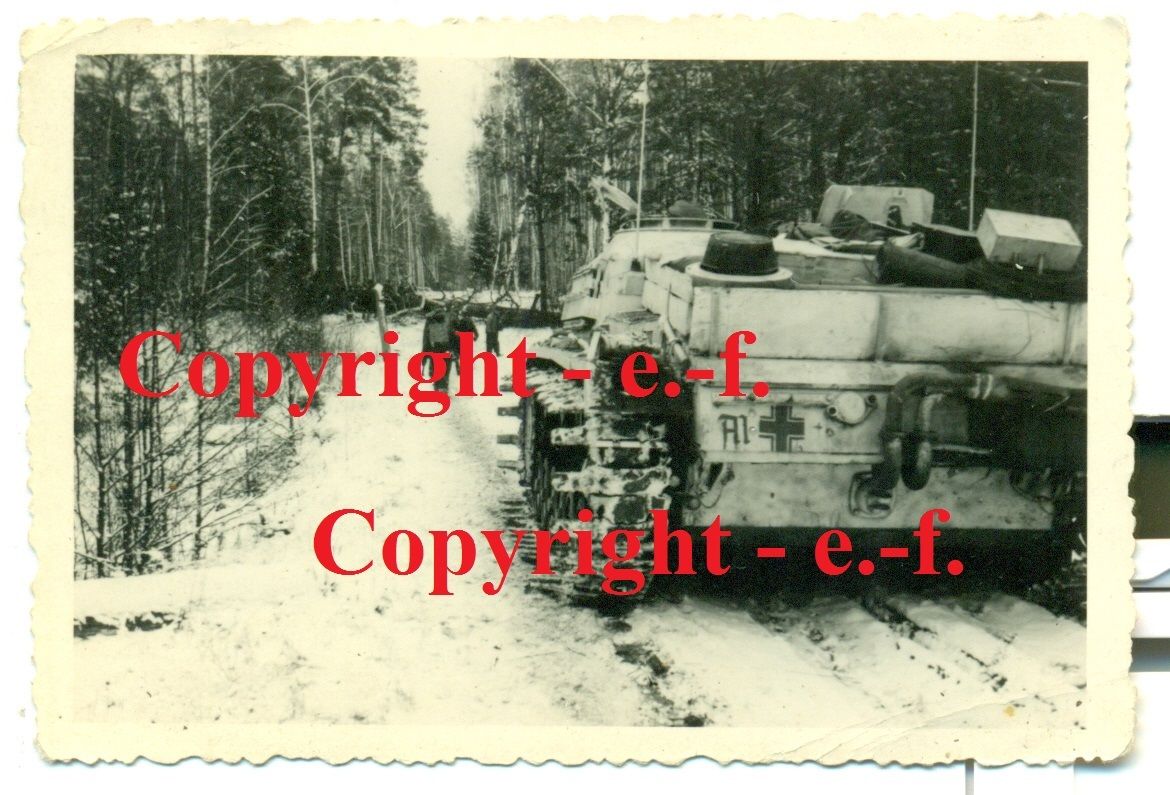 FOTO - STURMGESCHÜTZ - WINTER-TARNUNG - LANGROHR