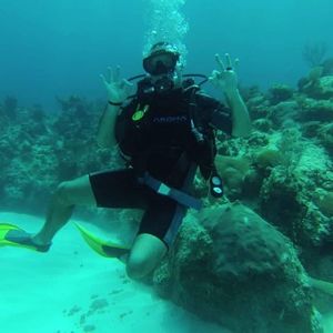 BnDtShMv0D5dan4NgmNt1wU1ENoIv2DZ3_9eWu4-PTWIhANQaY1LEoxY4CsYD9f3