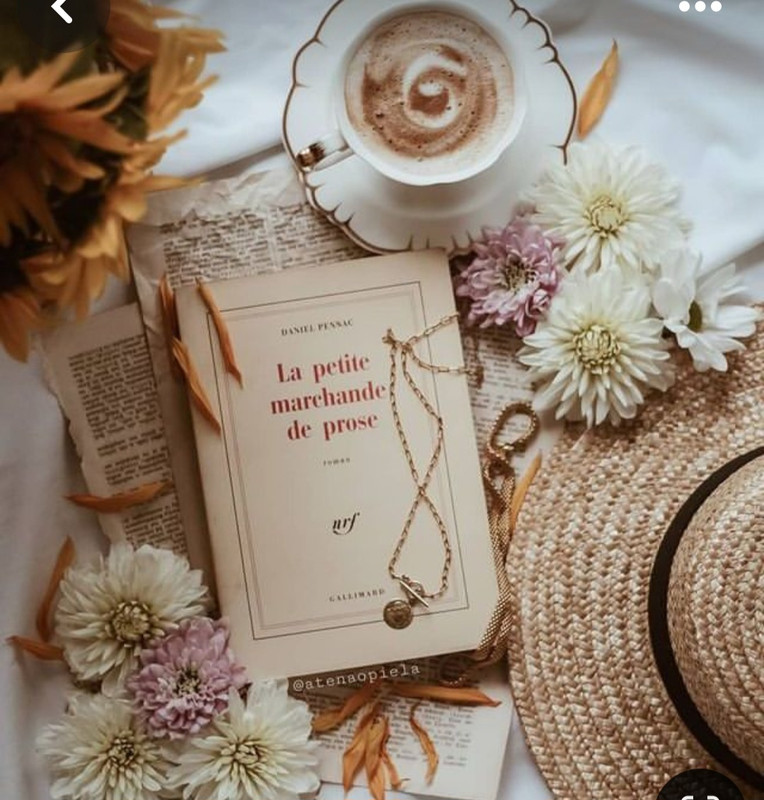 Screenshot_20240608_071222_Pinterest