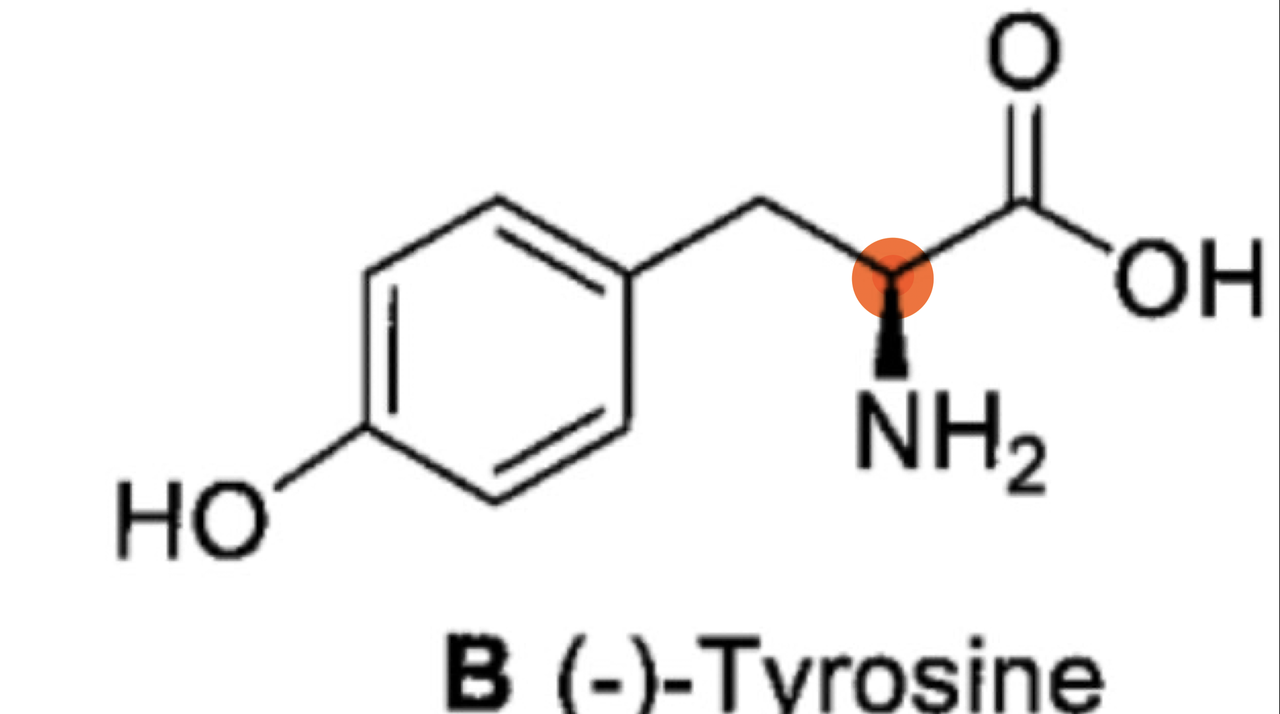 Capture d’écran 2023-10-22 à 11.56.56