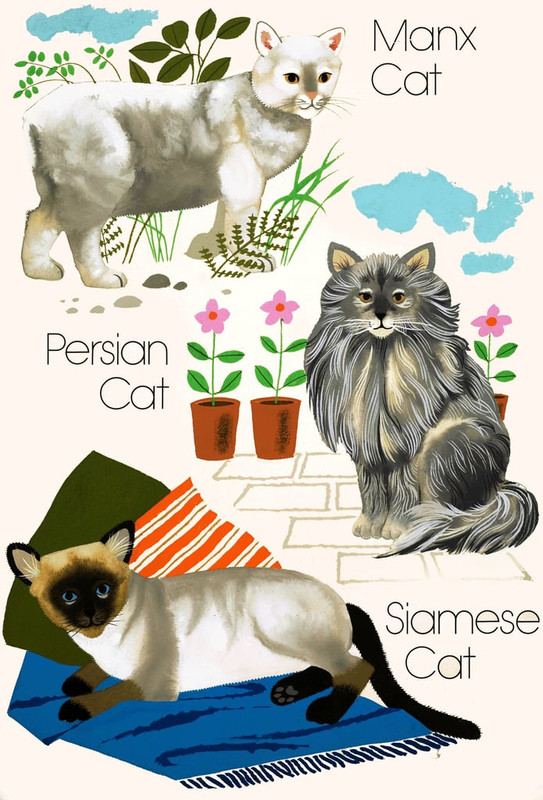 9-English-School-Domestic-cats-Meister-Drucke-54970