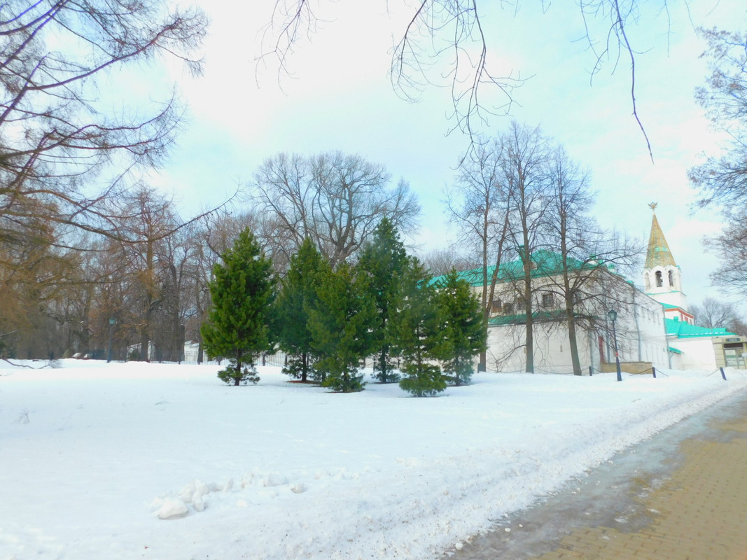 Февральское Коломенское 2023 017