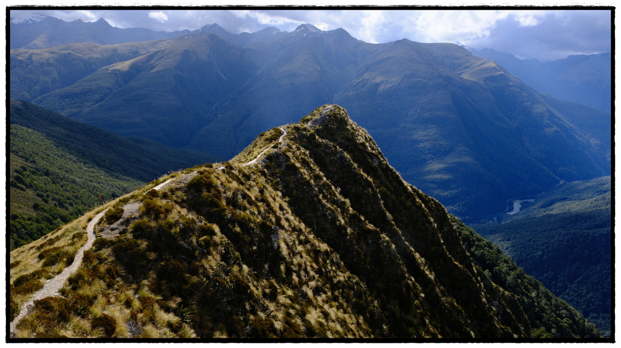 Mt Aspiring NP – Brewster hut & glacier (febrero 2026) - Escapadas y rutas por la Nueva Zelanda menos conocida (5)