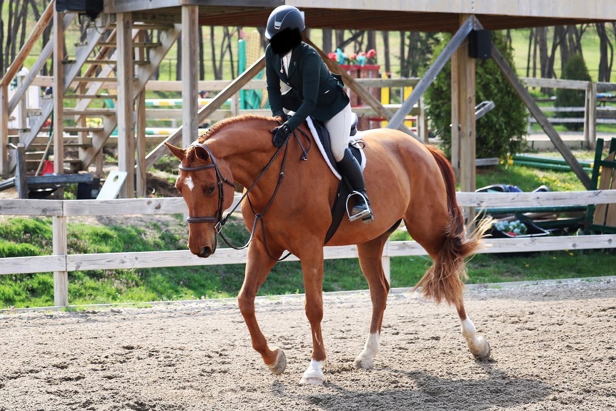 05D6106E-5877-4EF6-9FE8-0F472FCD2BBD